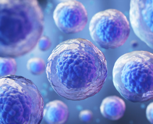 First Stem Cell Treatment for Spina Bifida Enters Clinical Trial